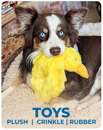 Duck Crinkle Dog Toy