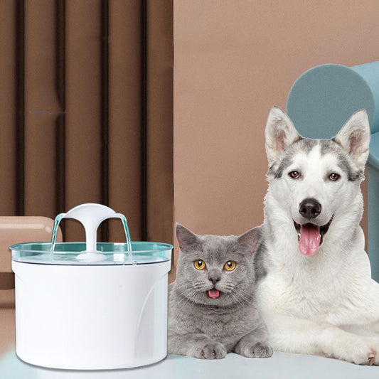 Pet Dog Electrical Automatic Water Fountain Container